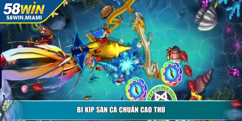 Bí kíp săn cá chuẩn cao thủ