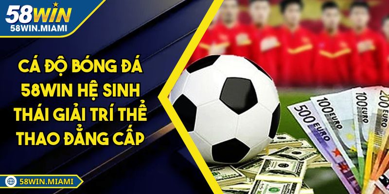 Cá Độ Bóng Đá 58WIN Hệ Sinh Thái Giải Trí Thể Thao Đẳng Cấp