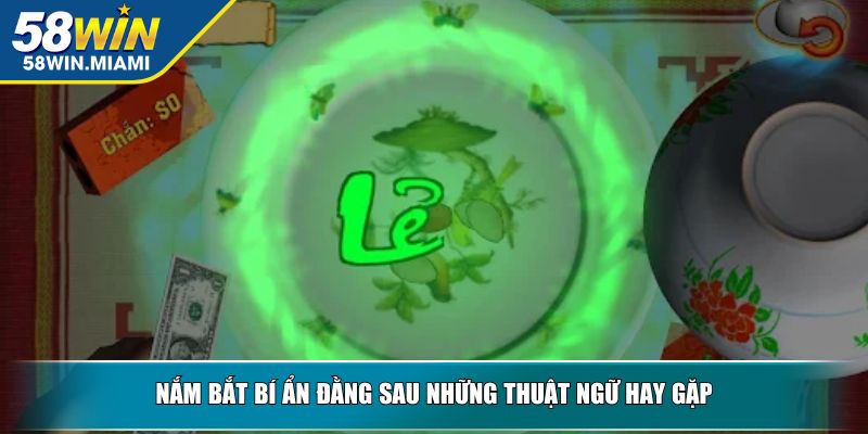 Nắm bắt bí ẩn đằng sau những thuật ngữ hay gặp